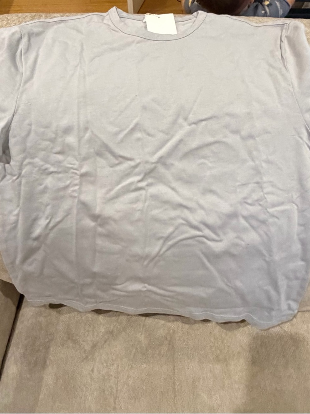 Zara Light Gray Crewneck Tee